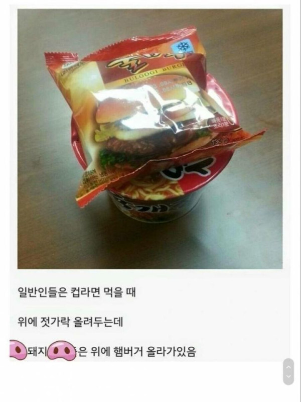 돼지들컵라면먹을때특징1.jpg 돼지들 컵라면 먹을 때 특징.jpg